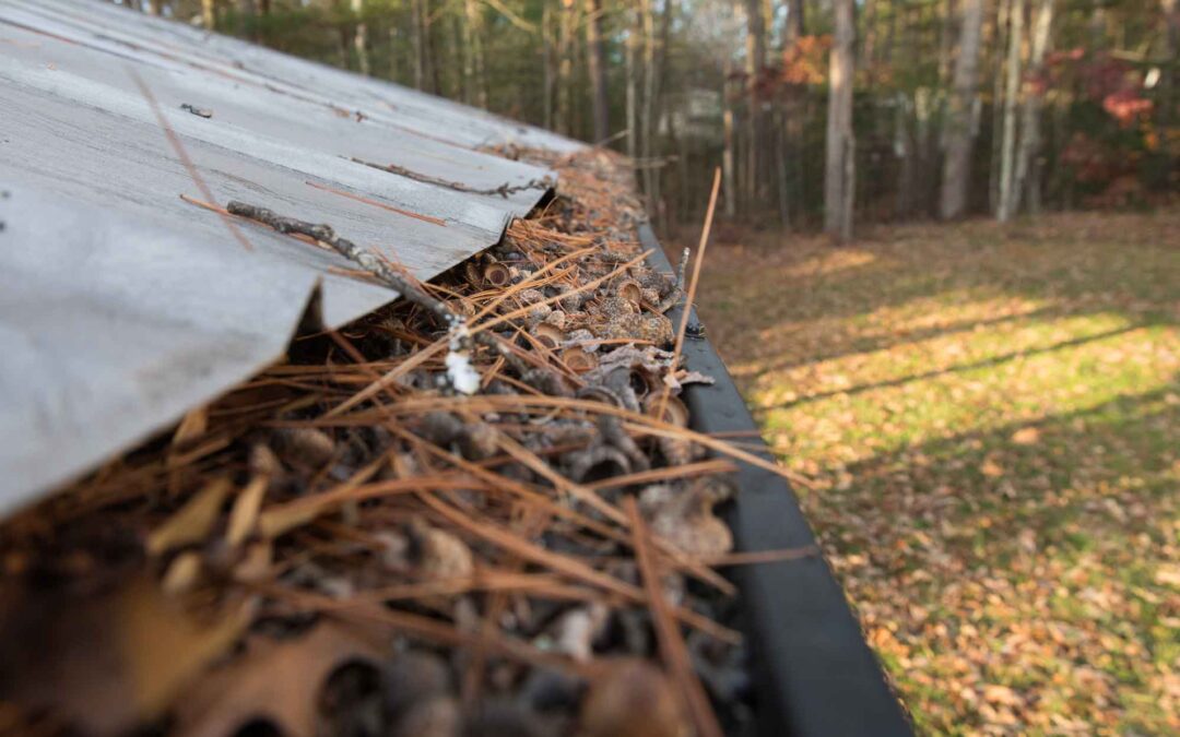 Flathead-Fire-Safety-Remove-Leaves-from-Gutters
